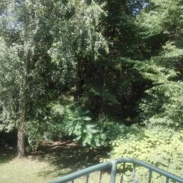 Hotel Arborétum Harkány - Környék