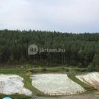 Hunguest Saliris Egerszalók - Medence/kert