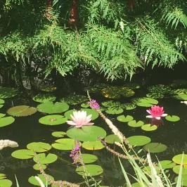 Aqua Hotel Kistelek Kistelek - Környék