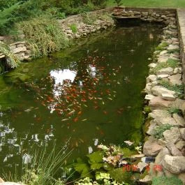 Hunguest Hotel Béke, Hajdúszoboszló - Medence/kert