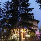 Feketerigó Étterem Mátrafüred - Egyéb