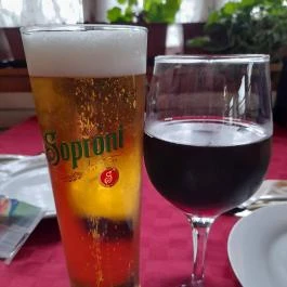 Báró Eötvös Loránd Apartman, Dobogókő - Vendéglátás