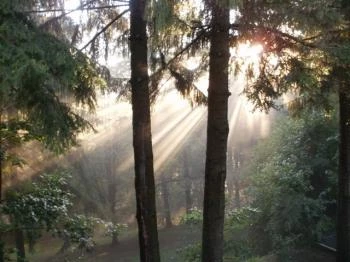 Erzsébet Szálloda Bagolyirtás Mátraszentimre