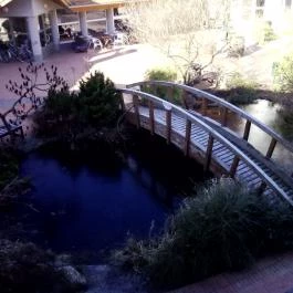 Aqua Hotel Kistelek Kistelek - Környék