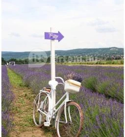 Pátyi Levendulás Kert