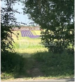 Pátyi Levendulás Kert