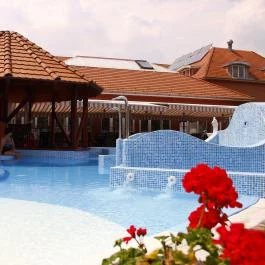 Duna Relax & Event Hotel Ráckeve - Medence/kert
