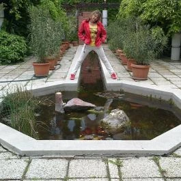 Hotel Ezüstpart Siófok - Medence/kert