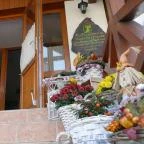 Sólyomvár Panzió Komlóska - Medence/kert