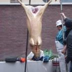 Art Hotel Szeged Szeged - Egyéb