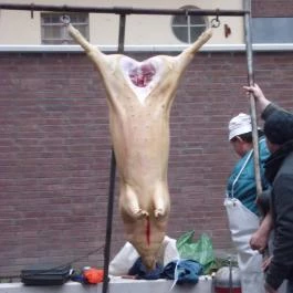 Art Hotel Szeged, Szeged - Egyéb