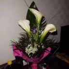 Hunguest Hotel Gyula Gyula - Egyéb