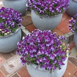 Hunguest Hotel Panoráma Hévíz - Egyéb