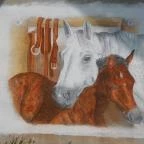 Tücsöktanya Vendégház Kétvölgy - Egyéb