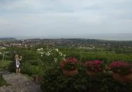 Márga Bisztró Csopak