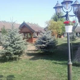 Silver Major Kaba - Medence/kert