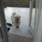 Liget Wellness & Konferencia Hotel Szarvas - Egyéb