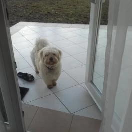 Liget Wellness & Konferencia Hotel , Szarvas - Egyéb