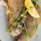 Itt & Most Eger - Egyéb