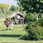 Nádas Tó Park Hotel Vasad - Medence/kert