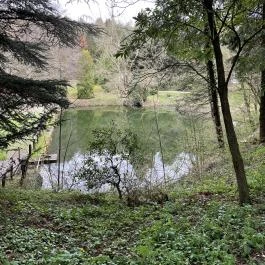 Agostyáni Arborétum Agostyán - Egyéb