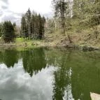 Agostyáni Arborétum Agostyán - Egyéb