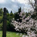 Agostyáni Arborétum Agostyán - Egyéb