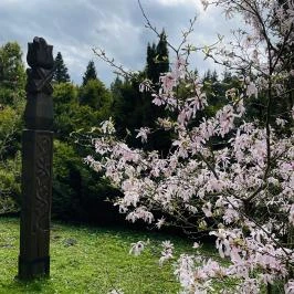 Agostyáni Arborétum Agostyán - Egyéb