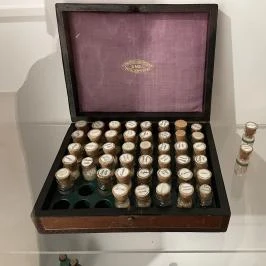 Amazon Ház Látogatóközpont, Keszthely - Egyéb