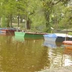 Angolkert Tata - Egyéb