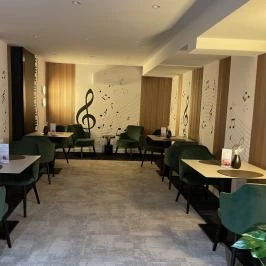 Aranyhomok Business & Wellness Hotel Kecskemét - Egyéb