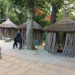 Bambara Hotel Felsőtárkány - Medence/kert