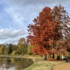 Barangoló - Kastélypark tanösvény Martonvásár - Külső kép