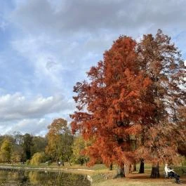 Barangoló - Kastélypark tanösvény Martonvásár - Külső kép