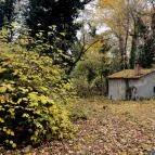 Barangoló - Kastélypark tanösvény Martonvásár - Külső kép