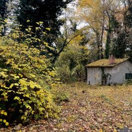 Barangoló - Kastélypark tanösvény Martonvásár - Külső kép