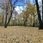 Barangoló - Kastélypark tanösvény Martonvásár - Külső kép