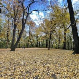 Barangoló - Kastélypark tanösvény Martonvásár - Külső kép