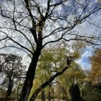 Barangoló - Kastélypark tanösvény Martonvásár - Külső kép