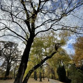 Barangoló - Kastélypark tanösvény Martonvásár - Külső kép