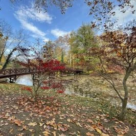 Barangoló - Kastélypark tanösvény Martonvásár - Külső kép