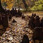 Barangoló - Kastélypark tanösvény Martonvásár - Külső kép