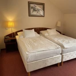 Bodrogi Kúria Wellness Hotel Inárcs - Egyéb