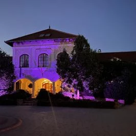 Bodrogi Kúria Wellness Hotel Inárcs - Egyéb