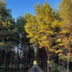 Bodrogi Kúria Wellness Hotel Inárcs - Egyéb