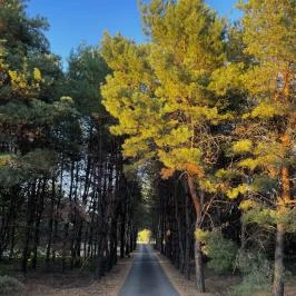 Bodrogi Kúria Wellness Hotel Inárcs - Egyéb