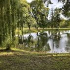 Borostyán-kút kápolna Bakonybél - Egyéb