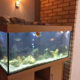 CE Plaza Hotel Siófok - Egyéb