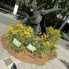Debreceni Virágkarnevál Debrecen - Külső kép