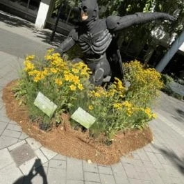 Debreceni Virágkarnevál Debrecen - Külső kép
